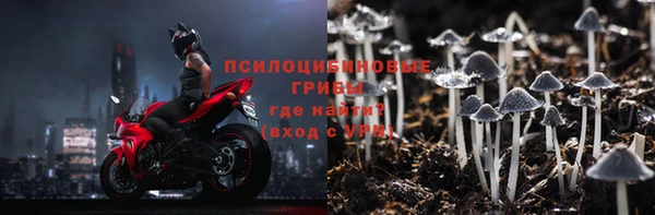 apvp Елабуга