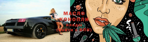 тгк Ельня