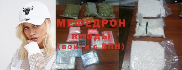тгк Ельня