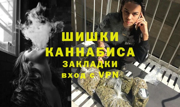 тгк Ельня