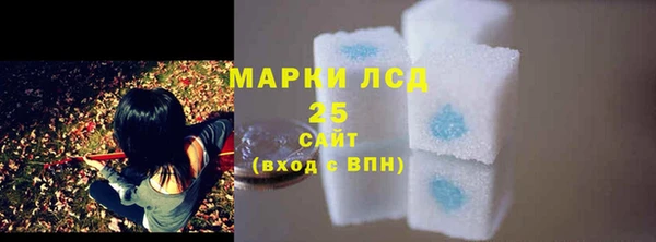 apvp Елабуга