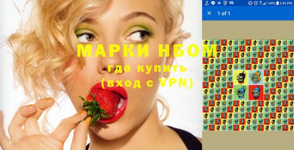 тгк Ельня