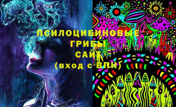 стафф Елизово