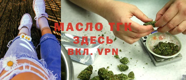 тгк Ельня