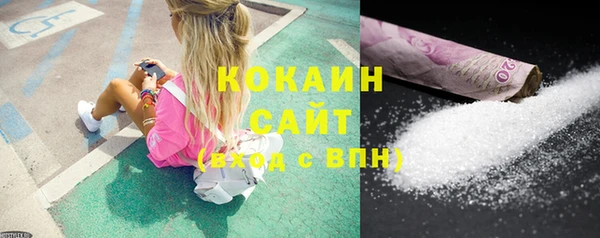 стафф Елизово