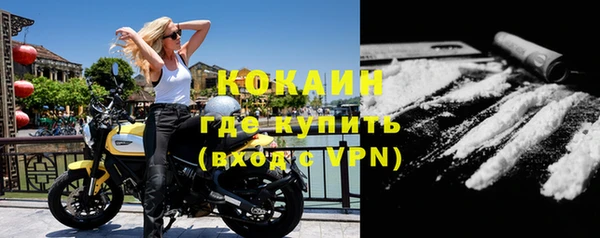 стафф Елизово