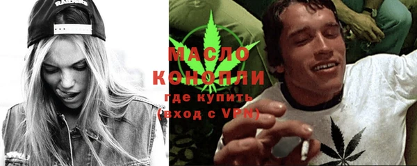 тгк Ельня