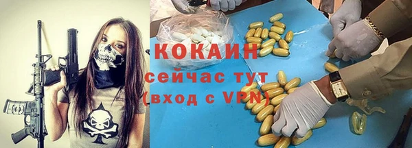 тгк Ельня