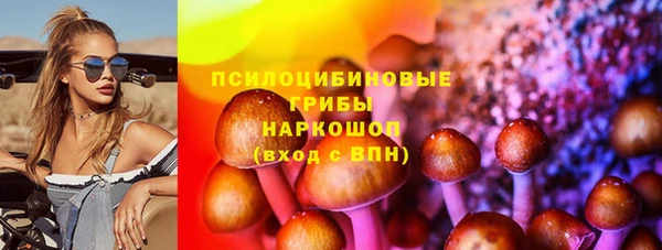 стафф Елизово