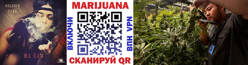 Купить  Новозыбков  МАРИХУАНА SATIVA & INDICA 